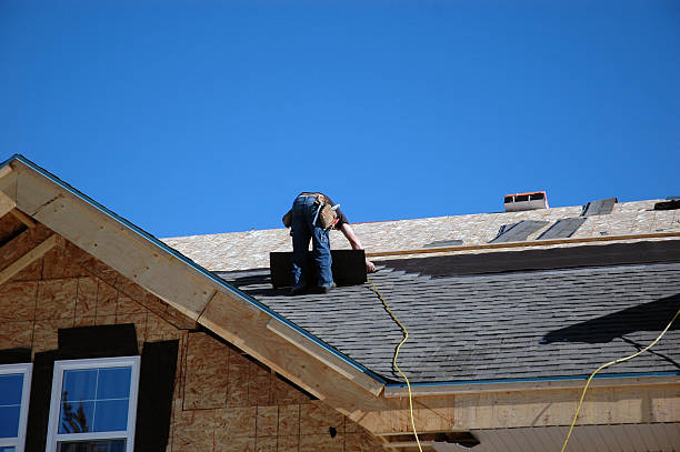 Best Storm Damage Roof Repair  in Colfax, IL